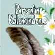  Birsen  Eker